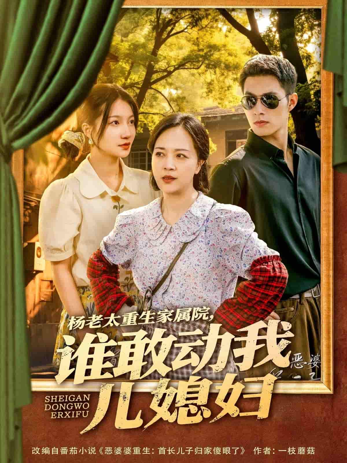 楊老太重生家屬院，誰(shuí)敢動(dòng)我兒媳婦(全集)