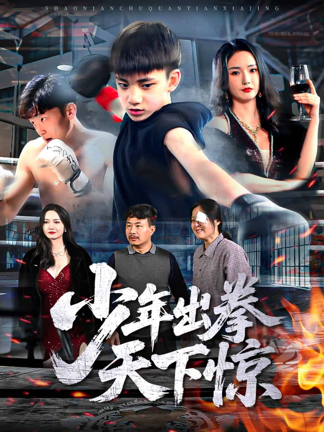 少年出拳天下驚(全集)