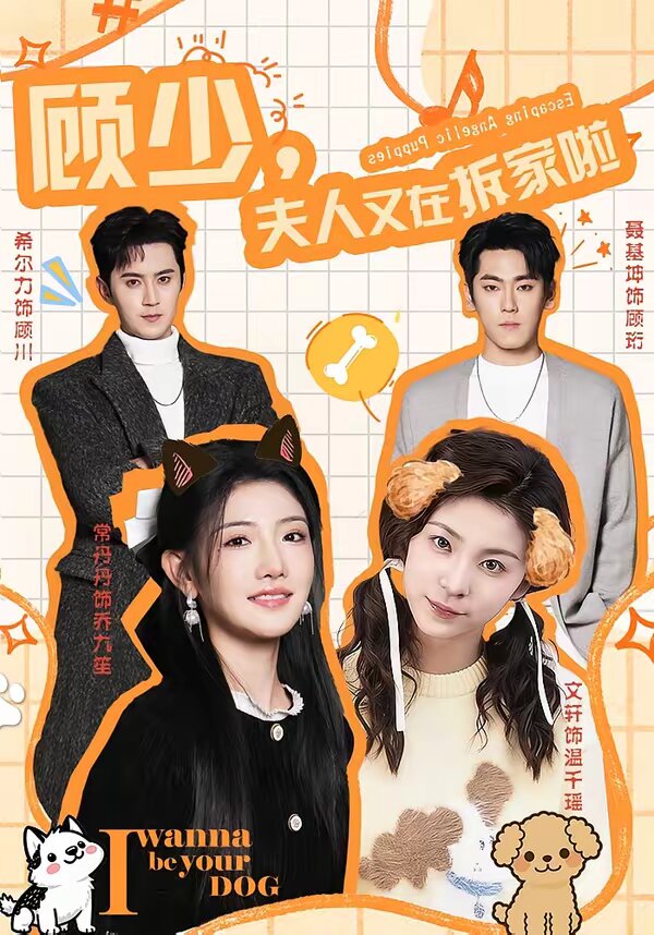顧少，夫人又在拆家啦(全集)