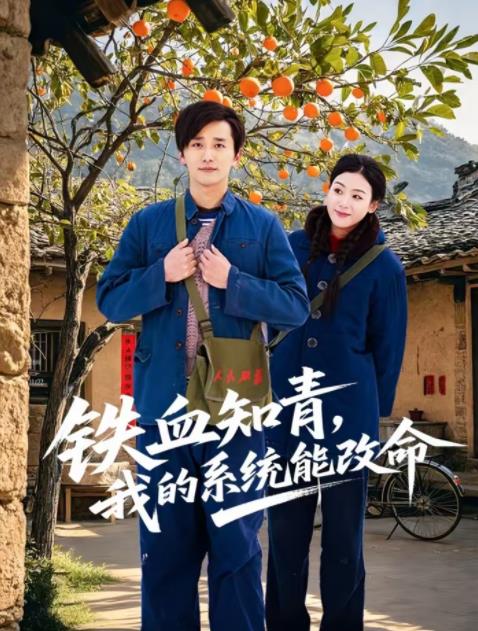 鐵血知青，我的系統(tǒng)能改命(全集)