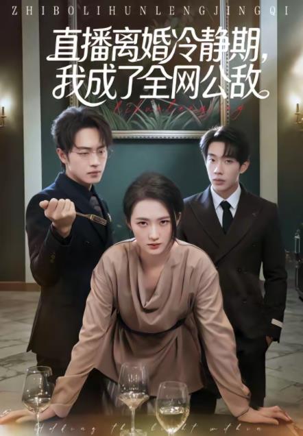 直播離婚冷靜期，我成了全網公敵(全集)