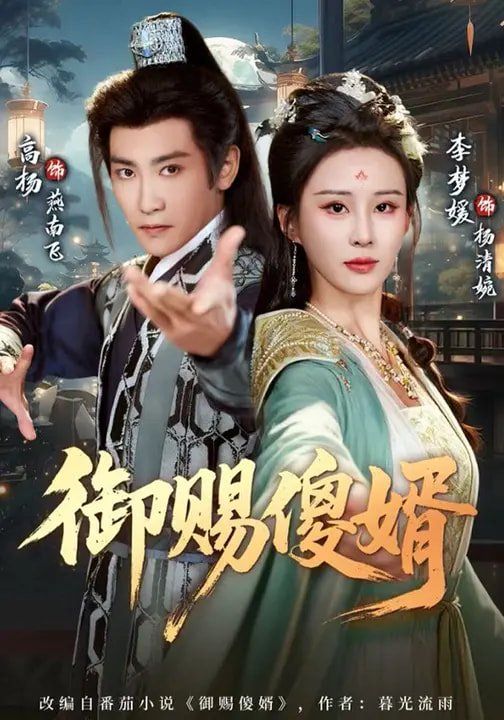 御賜傻婿(全集)