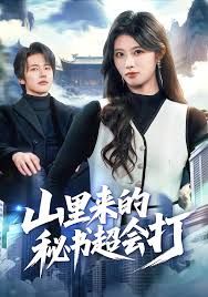 山里來的秘書超會(huì)打(全集)