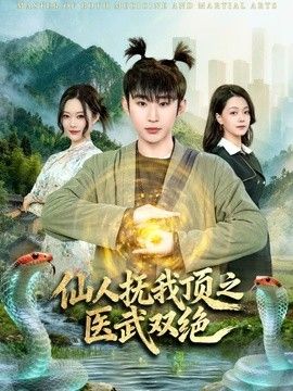仙人撫我頂之醫(yī)武雙絕(全集)