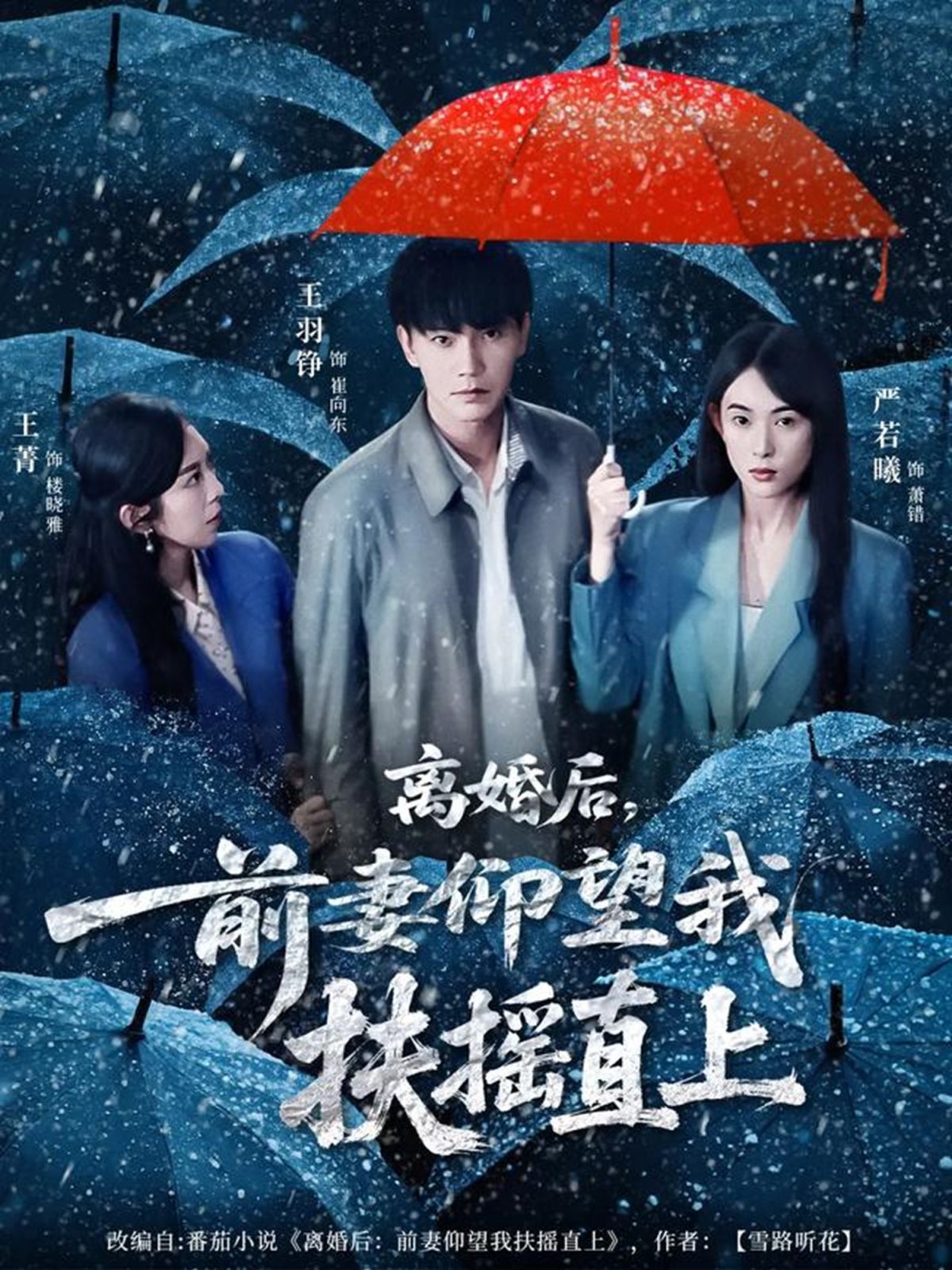 離婚后，前妻仰望我扶搖直上(全集)